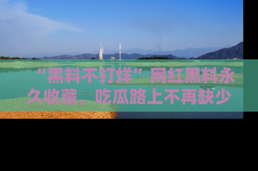 “黑料不打烊”网红黑料永久收藏，吃瓜路上不再缺少惊喜与乐趣