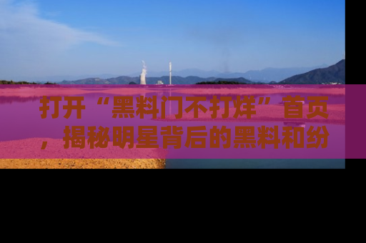 打开“黑料门不打烊”首页，揭秘明星背后的黑料和纷争真相！
