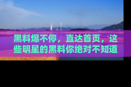 黑料爆不停，直达首页，这些明星的黑料你绝对不知道！