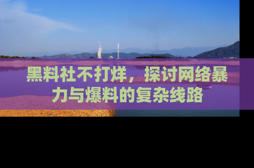 黑料社不打烊，探讨网络暴力与爆料的复杂线路