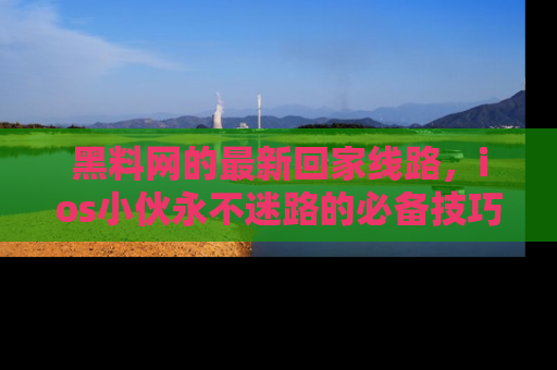 黑料网的最新回家线路，ios小伙永不迷路的必备技巧！