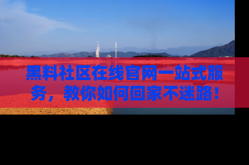 黑料社区在线官网一站式服务，教你如何回家不迷路！