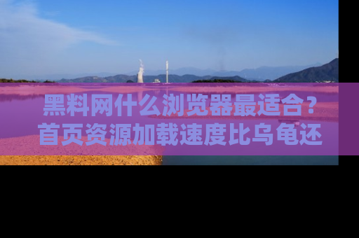 黑料网什么浏览器最适合？首页资源加载速度比乌龟还慢的体验真心吐槽！