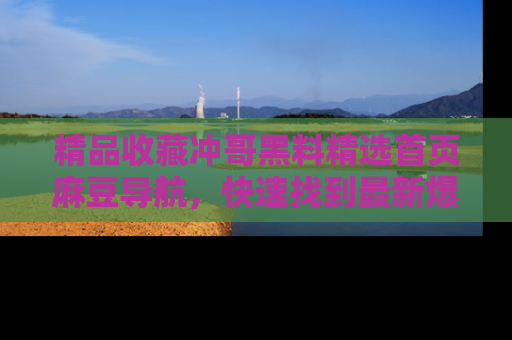 精品收藏冲哥黑料精选首页麻豆导航，快速找到最新爆料