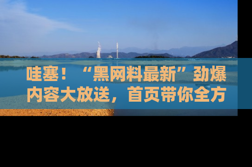 哇塞!“黑网料最新”劲爆内容大放送,首页带你全方位了解哦,小可爱们