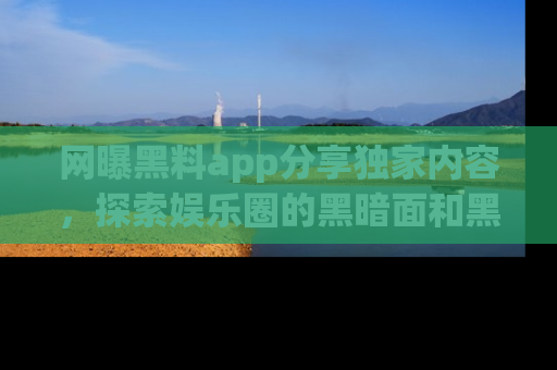 网曝黑料app分享独家内容,探索娱乐圈的黑暗面和黑料