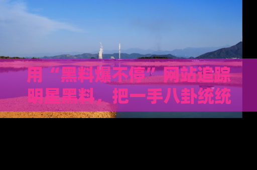 用“黑料爆不停”网站追踪明星黑料，把一手八卦统统收进你的后宫中！