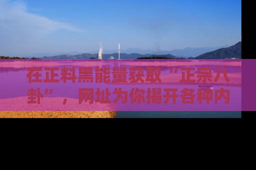 在正料黑能量获取“正宗八卦”,网址为你揭开各种内幕故事!