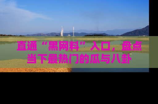 直通“黑网料”入口,盘点当下最热门的瓜与八卦