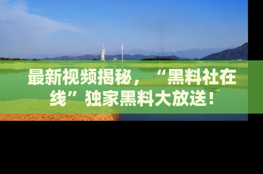 最新视频揭秘,“黑料社在线”独家黑料大放送!